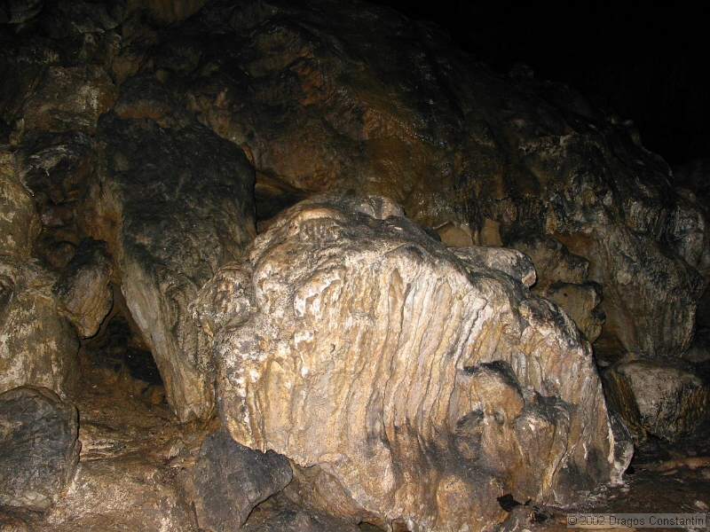 Revelion2003 442.jpg